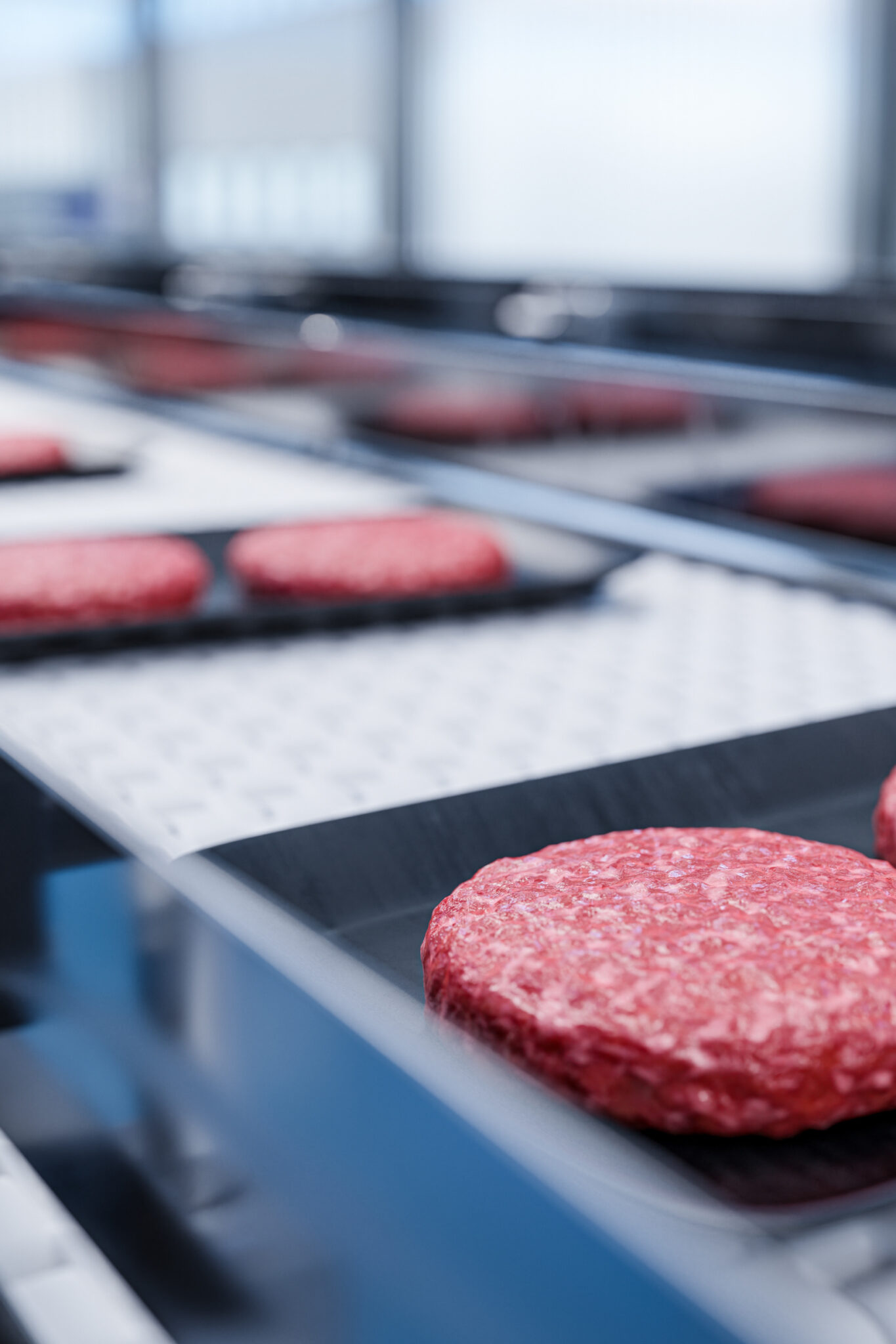 Hamburguesas en una cinta transportadora de producción alimentaria